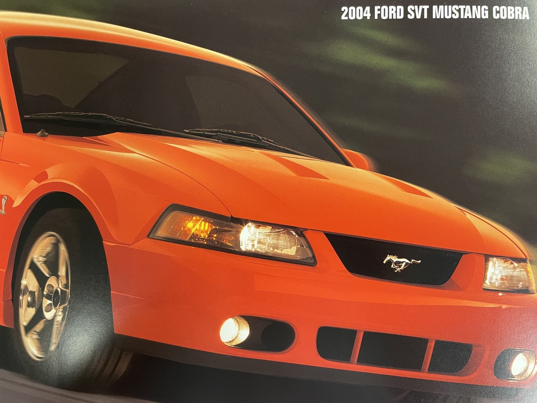 2004 Cobra Brochure - Ford Show Parts