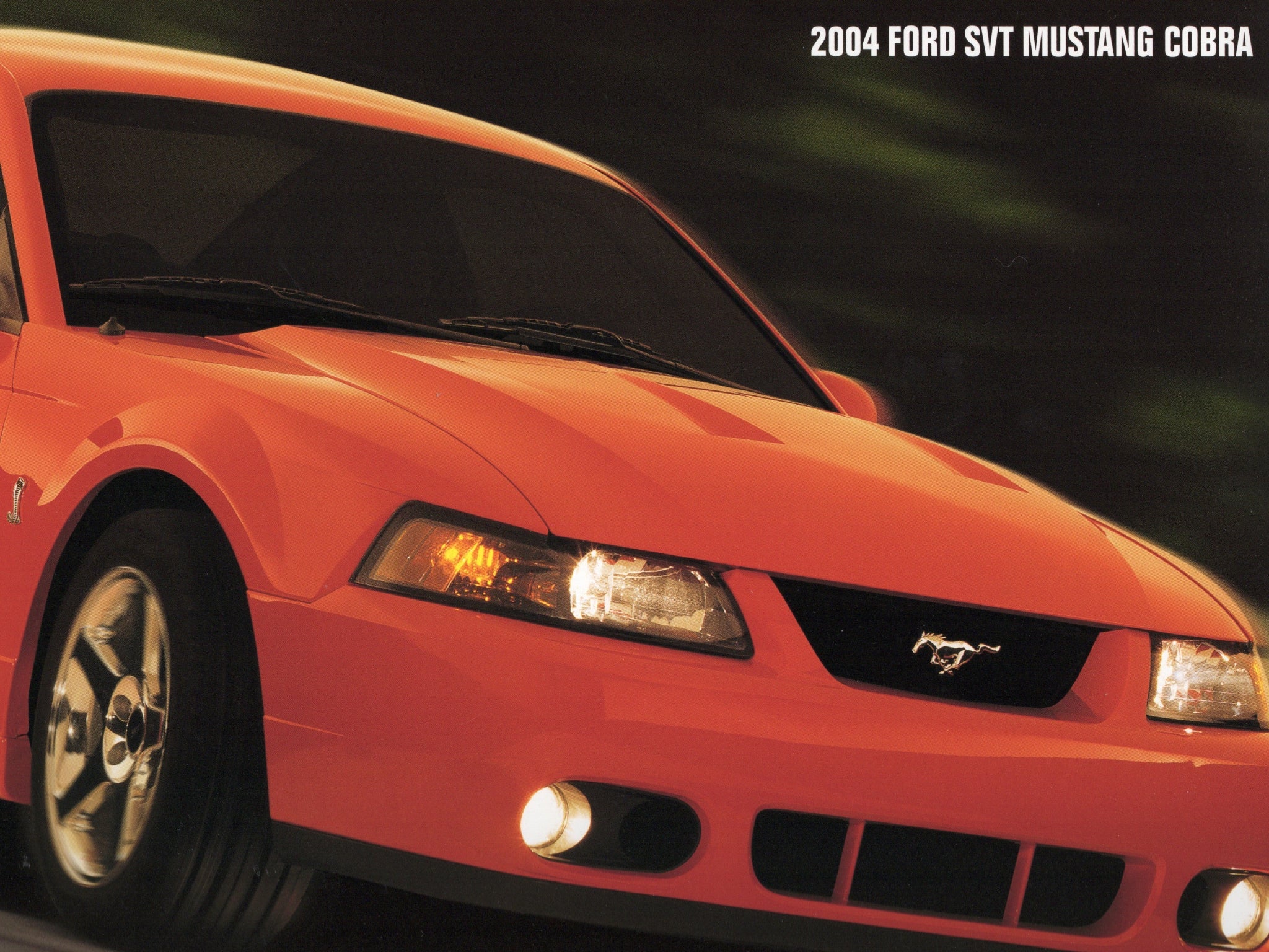 2004 Cobra Brochure - Ford Show Parts