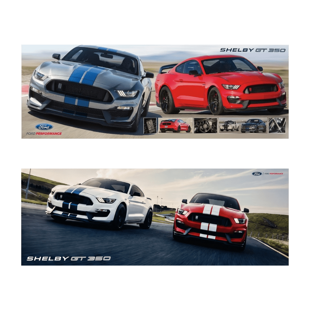 2015 - 2020 Shelby GT350 Certificate Package - Ford Show Parts