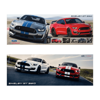 2015 - 2020 Shelby GT350 Certificate Package - Ford Show Parts
