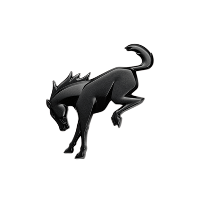 Bronco Rear Emblem - Matte Black - Ford Show Parts