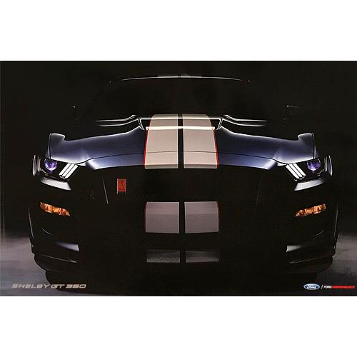 Ford - 2018 2 - Sided Shelby GT350 Poster - Ford Show Parts