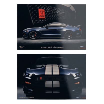 Ford - 2018 2 - Sided Shelby GT350 Poster - Ford Show Parts