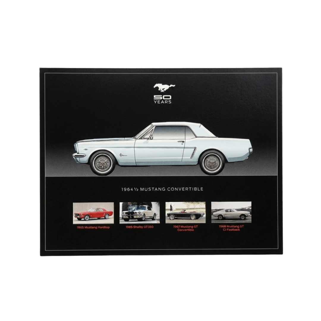 Mustang 50th Anniversary Mustang Package - Ford Show Parts