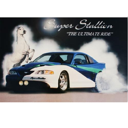 SVT Super Stallion Poster - Ford Show Parts