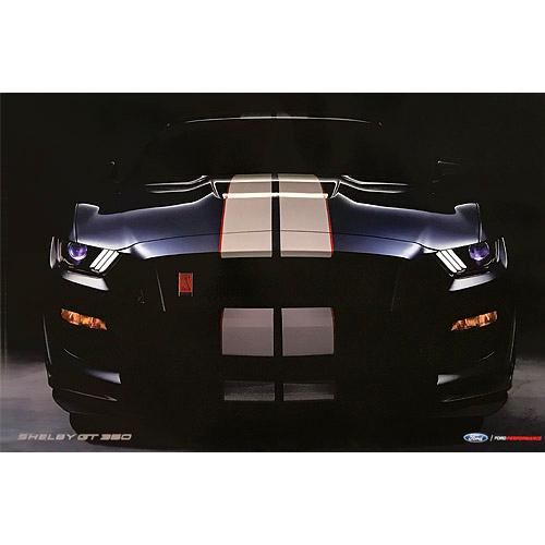 Ford- 2018 2-Sided Shelby GT350 Poster