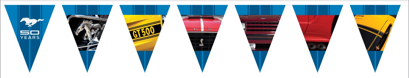 Mustang 50th Anniversary Pennant Flag